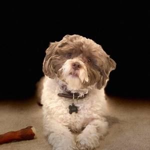 Meet your Posher, Xander